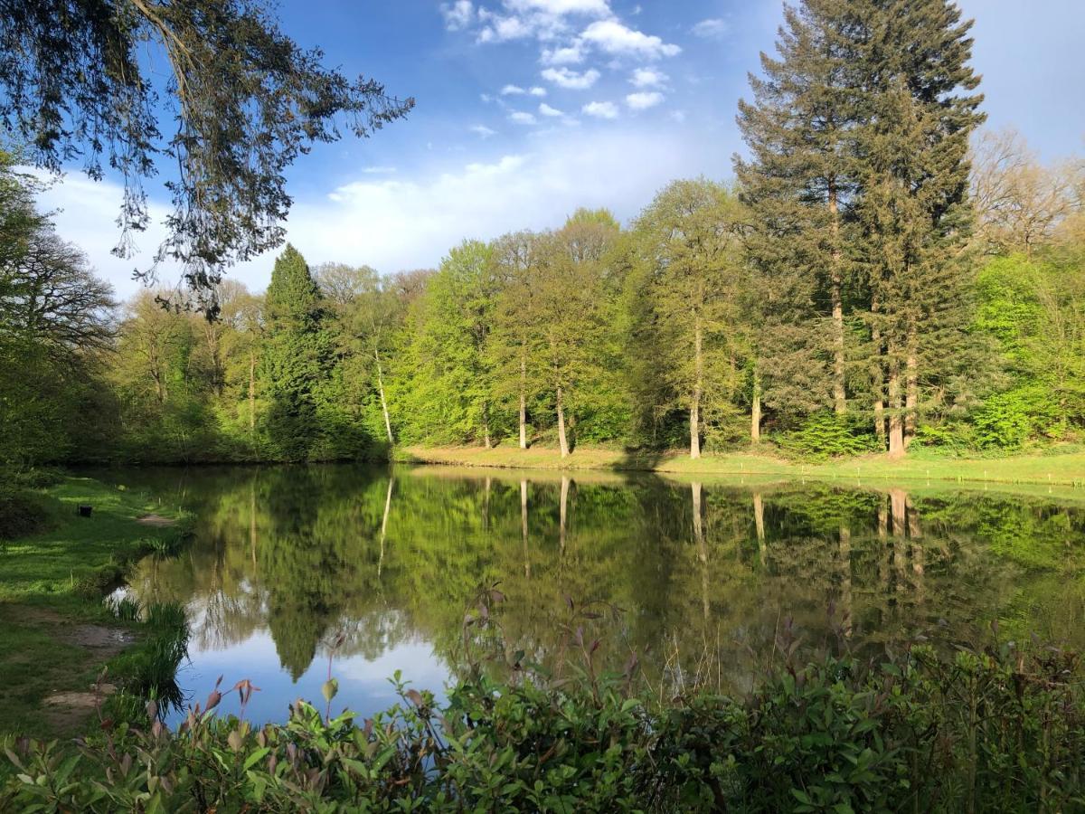 Le Temps D'Un Souffle - Gite Rural 3 Epis Sivry-Rance Exteriör bild
