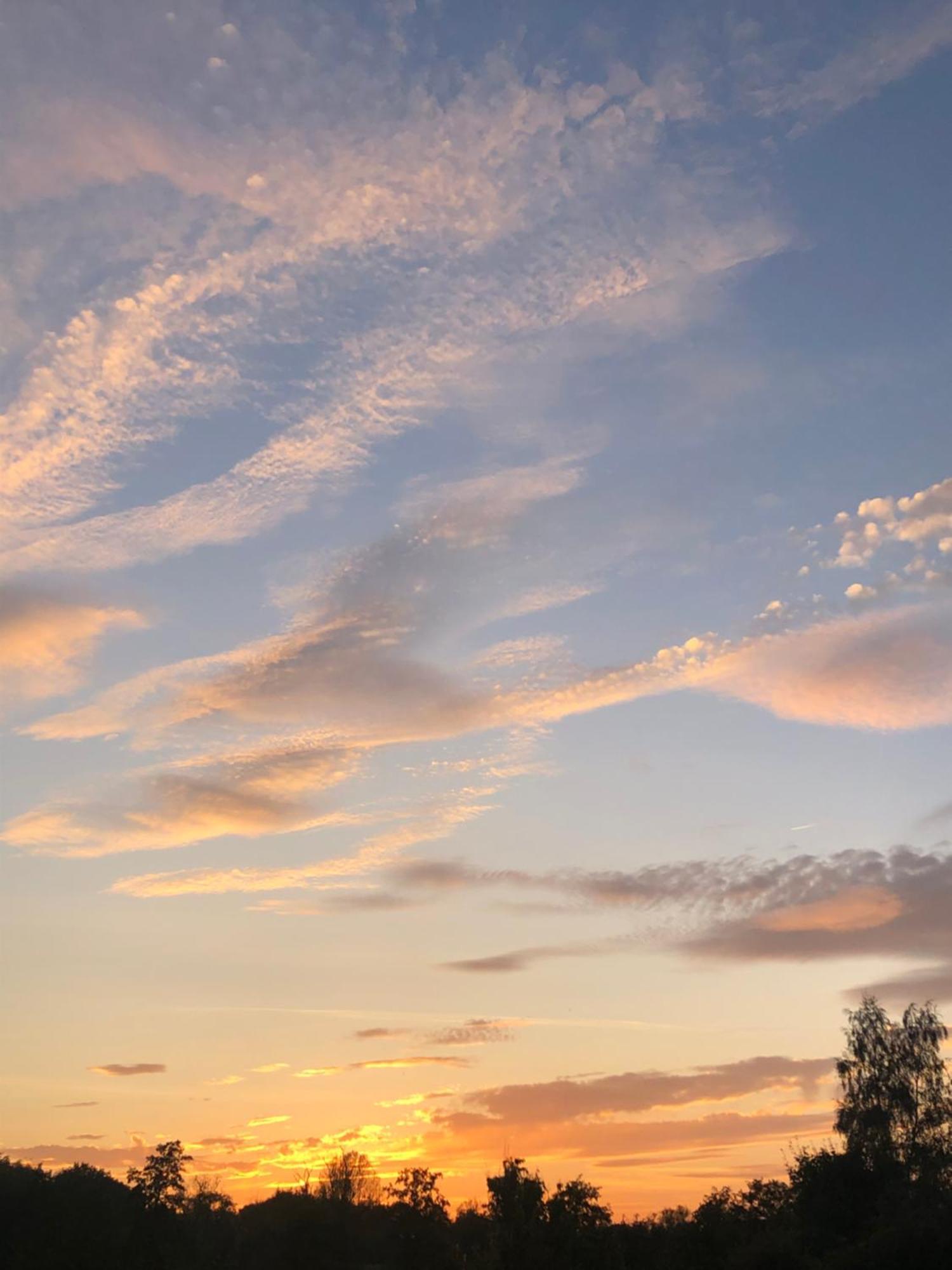 Le Temps D'Un Souffle - Gite Rural 3 Epis Sivry-Rance Exteriör bild