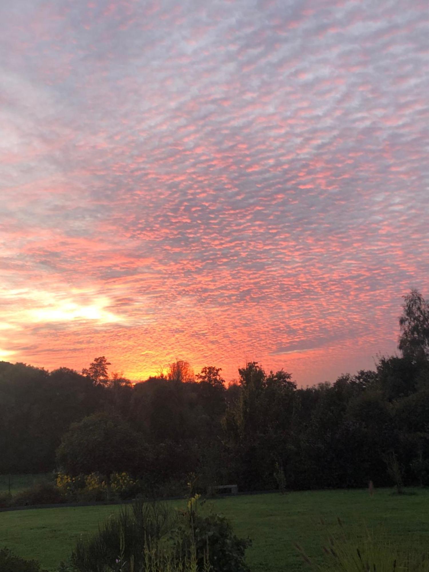 Le Temps D'Un Souffle - Gite Rural 3 Epis Sivry-Rance Exteriör bild