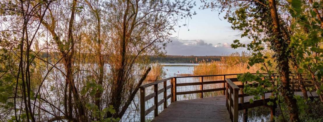 Le Temps D'Un Souffle - Gite Rural 3 Epis Sivry-Rance Exteriör bild
